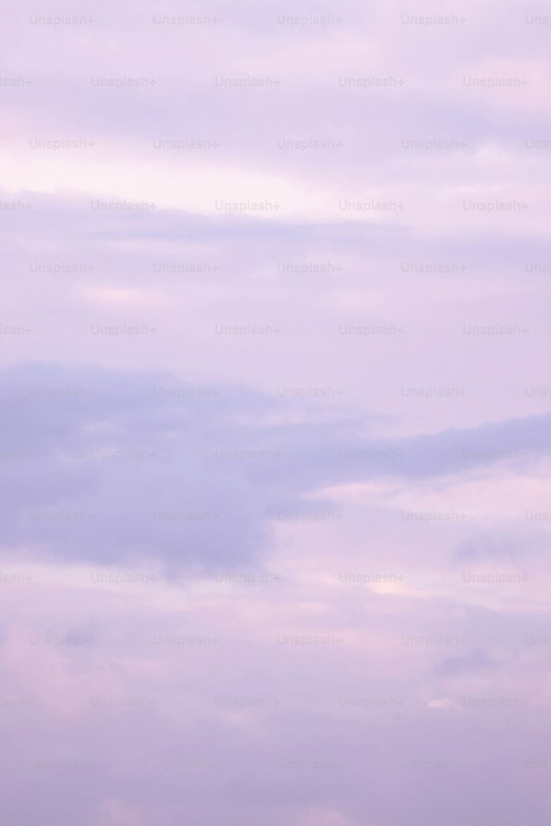 《白玫瑰》青皮抓到了吗？